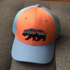 Patagonia Cap